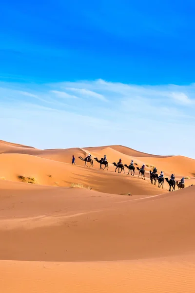 Merzouga Desierto Del Sahara Marruecos — Foto de Stock