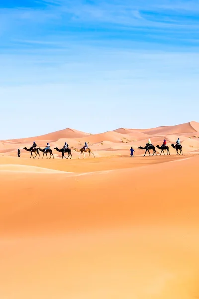 Merzouga Der Sahara Marokko — Stockfoto