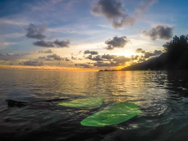 Stand up paddle in Bora Bora Island, Polinésia Francesa . — Fotografia de Stock