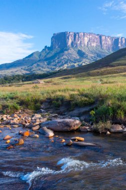 Mount Roraima, Venezuela, Güney Amerika
