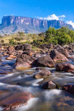 Mount Roraima, Venezuela, South America clipart