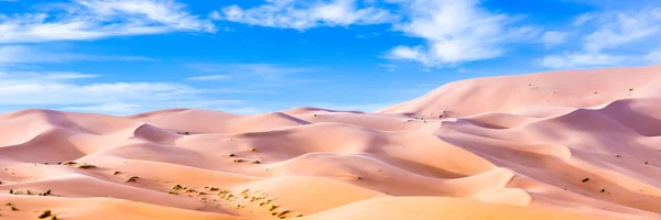 Abstrakte Natur Hintergrund Marokko Afrika — Stockfoto