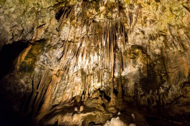 Postojna, Slovenya mağara. Oluşumlar mağaranın sarkıt ve dikitler ile içinde