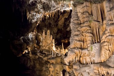 Postojna, Slovenya mağara. Oluşumlar mağaranın sarkıt ve dikitler ile içinde