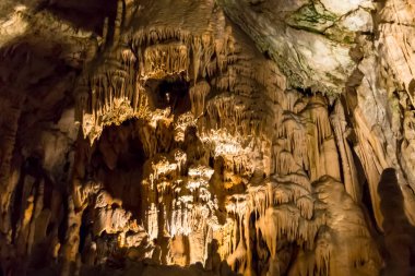 Postojna, Slovenya mağara. Oluşumlar mağaranın sarkıt ve dikitler ile içinde