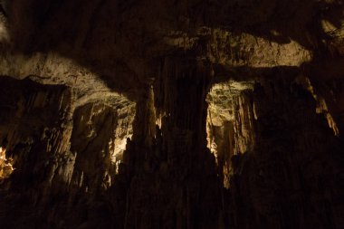 Postojna, Slovenya mağara. Oluşumlar mağaranın sarkıt ve dikitler ile içinde