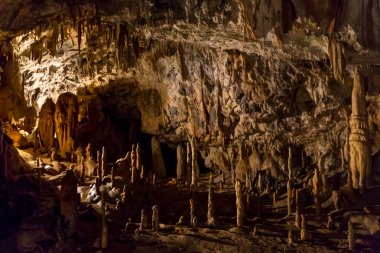 Postojna, Slovenya mağara. Oluşumlar mağaranın sarkıt ve dikitler ile içinde