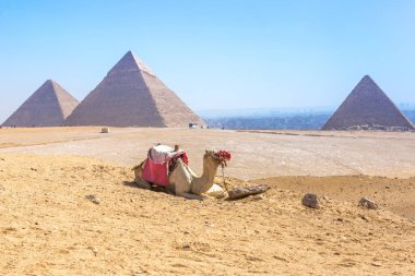 Mısır 'daki Giza Piramitleri