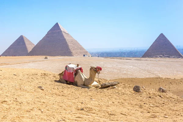Οι πυραμίδες στη Γκίζα της Αιγύπτου — Φωτογραφία Αρχείου
