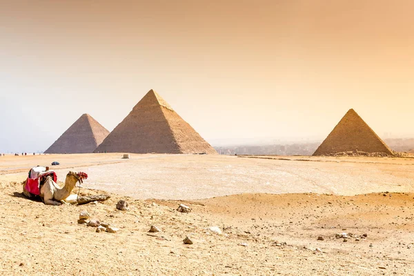 The pyramids at Giza in Egypt — Stock Photo, Image