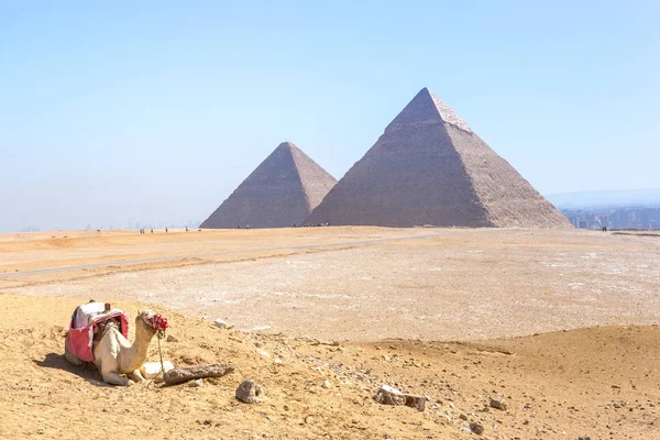 Pyramiderna vid Giza i Egypten — Stockfoto
