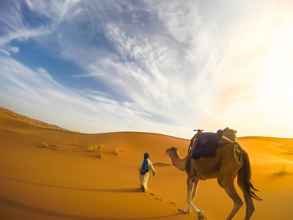 Sahara Çölü Nde Deve Ile Selfie — Stok fotoğraf