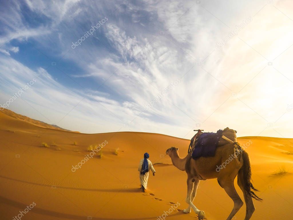 Selfie with camel in the Sahara desert