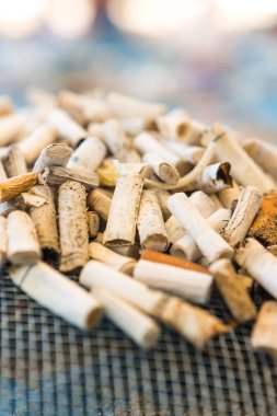 Plaj temizleme. Temizlik kirli plajları eylem bir adam tarafından. Sus