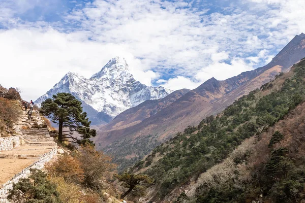 Trekking Everest Base Camp. Nepal. — Foto de Stock