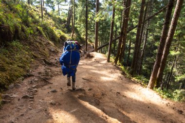 Everest Ana Kampı 'na gidiyorum. Nepal.