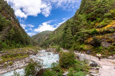 Himalaya Dağı 'ndaki Everest Ana Kamp Yolu' nda asma köprü.