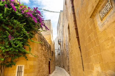 Malta, Mdina katedralinin eski kalesi. Avrupa.