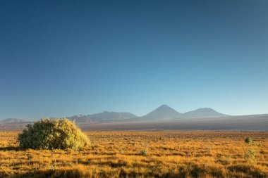 Atacama Çölü, Şili, And Dağları, Güney Amerika. Güzel manzara ve manzara.