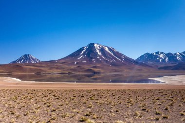 Lagunas Altiplanicas, Miscanti y Miniques, Atacama Çölü 'nün muhteşem manzarası. Şili, Güney Amerika.