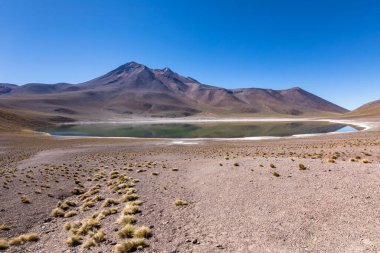 Lagunas Altiplanicas, Miscanti y Miniques, Atacama Çölü 'nün muhteşem manzarası. Şili, Güney Amerika.
