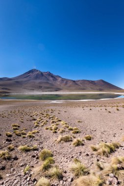 Lagunas Altiplanicas, Miscanti y Miniques, Atacama Çölü 'nün muhteşem manzarası. Şili, Güney Amerika.