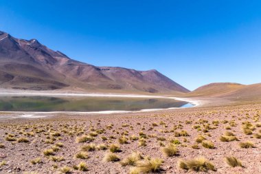 Lagunas Altiplanicas, Miscanti y Miniques, Atacama Çölü 'nün muhteşem manzarası. Şili, Güney Amerika.