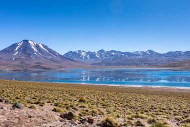 Lagunas Altiplanicas, Miscanti y Miniques, Atacama Çölü 'nün muhteşem manzarası. Şili, Güney Amerika.