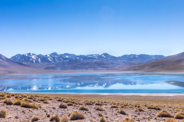 Lagunas Altiplanicas, Miscanti y Miniques, Atacama Çölü 'nün muhteşem manzarası. Şili, Güney Amerika.