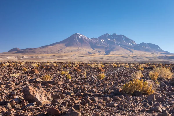 Atacamaöknen Chile Anderna Sydamerika Vacker Utsikt Och Landskap — Stockfoto