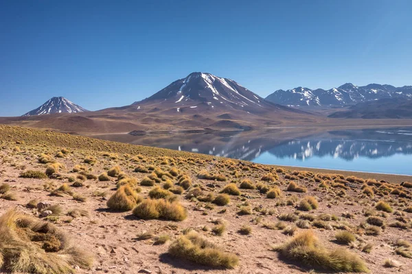 Atacamaöknen Chile Anderna Sydamerika Vacker Utsikt Och Landskap — Stockfoto