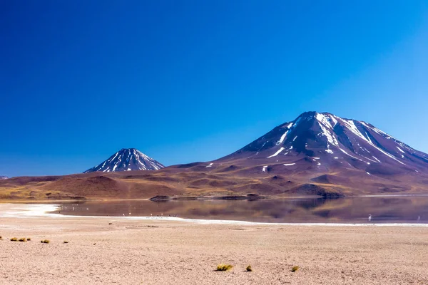 Lagunas Altiplanicas Miscanti Miniques Atacama Çölü Nün Muhteşem Manzarası Şili — Stok fotoğraf