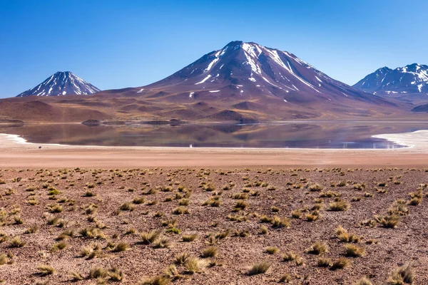 Lagunas Altiplanicas Miscanti Miniques Vue Imprenable Sur Désert Atacama Chili — Photo