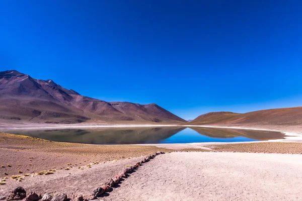 Lagunas Altiplanicas Miscanti Miniques Wspaniały Widok Pustynię Atacama Chile Ameryka — Zdjęcie stockowe