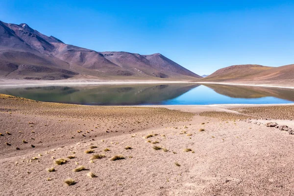 Lagunas Altiplanicas Miscanti Miniques Vista Increíble Desierto Atacama Chile América — Foto de Stock