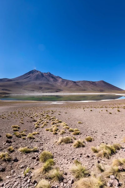 Lagunas Altiplanicas Miscanti Miniques Wspaniały Widok Pustynię Atacama Chile Ameryka — Zdjęcie stockowe