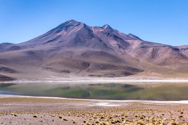 Lagunas Altiplanicas Miscanti Miniques Дивовижний Вид Пустелю Атакама Чилі Південна — стокове фото