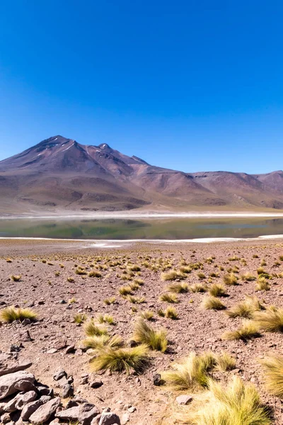 Lagunas Altiplanicas Miscanti Miniques Wspaniały Widok Pustynię Atacama Chile Ameryka — Zdjęcie stockowe