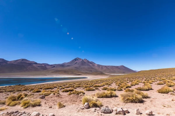 Lagunas Altiplanicas Miscanti Miniques Amazing View Atacama Desert Чили Южная — стоковое фото