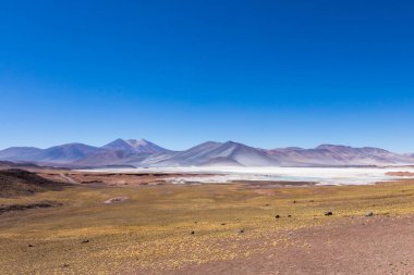 Atacama Çölü, Şili. Salar Aguas Calientes. Tuyacto Gölü. Güney Amerika.