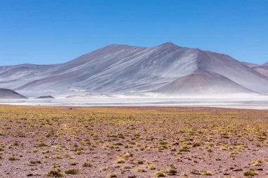 Atacama Çölü, Şili. Salar Aguas Calientes. Tuyacto Gölü. Güney Amerika.