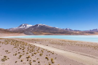 Atacama Çölü, Şili. Salar Aguas Calientes. Tuyacto Gölü. Güney Amerika.