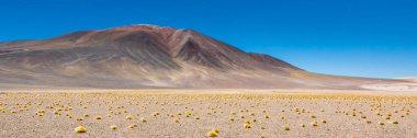 Atacama Çölü, Şili. Salar Aguas Calientes. Tuyacto Gölü. Güney Amerika.