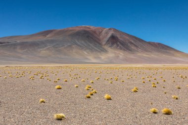 Atacama Çölü, Şili. Salar Aguas Calientes. Tuyacto Gölü. Güney Amerika.