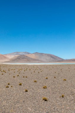 Atacama Çölü, Şili. Salar Aguas Calientes. Tuyacto Gölü. Güney Amerika.