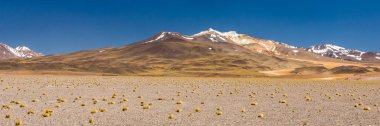 Atacama Çölü, Şili. Salar Aguas Calientes. Tuyacto Gölü. Güney Amerika.