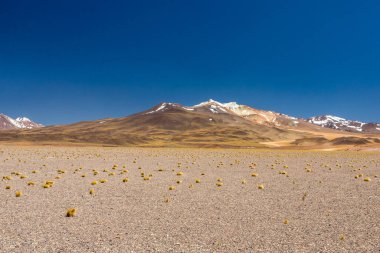 Atacama Çölü, Şili. Salar Aguas Calientes. Tuyacto Gölü. Güney Amerika.