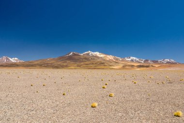 Atacama Çölü, Şili. Salar Aguas Calientes. Tuyacto Gölü. Güney Amerika.