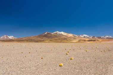 Atacama Çölü, Şili. Salar Aguas Calientes. Tuyacto Gölü. Güney Amerika.