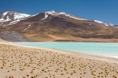 Atacama Çölü, Şili. Salar Aguas Calientes. Tuyacto Gölü. Güney Amerika.